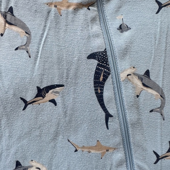 Kyte baby shark jammies 12-18 - Picture 2 of 3